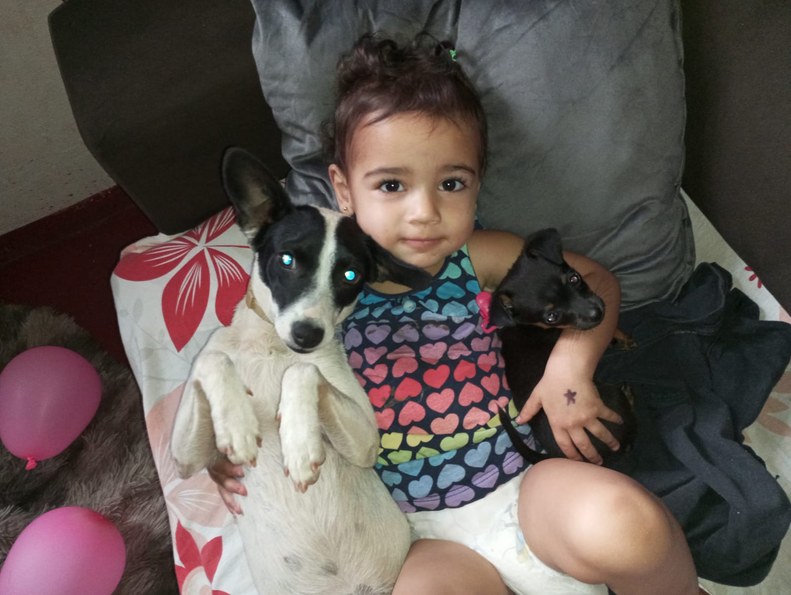 Foto do Pet